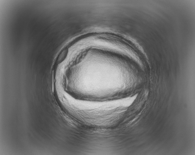 X0000074001175200609181800