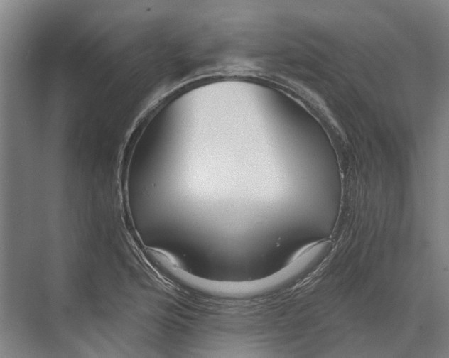 X0000074001176200609181800