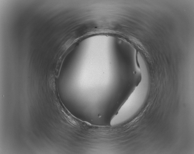 X0000074001177200609181800