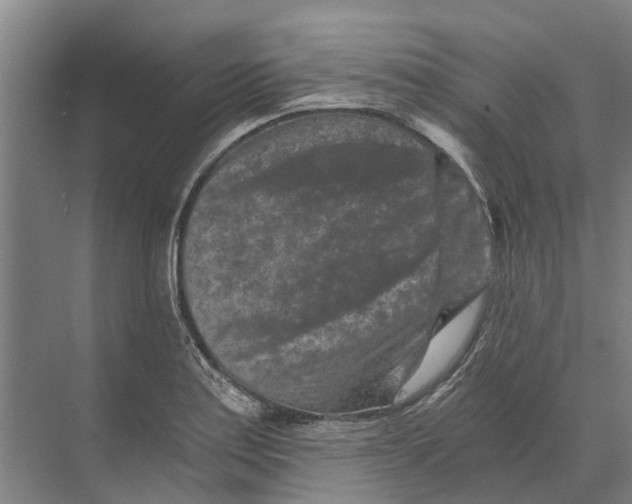 X0000074001179200609181800