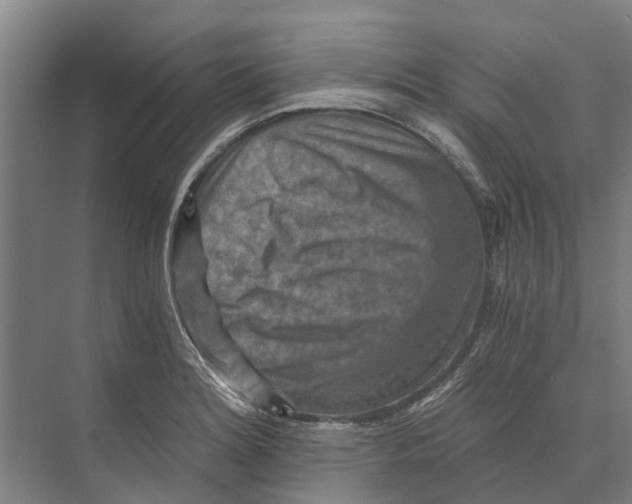 X0000074001180200609181800