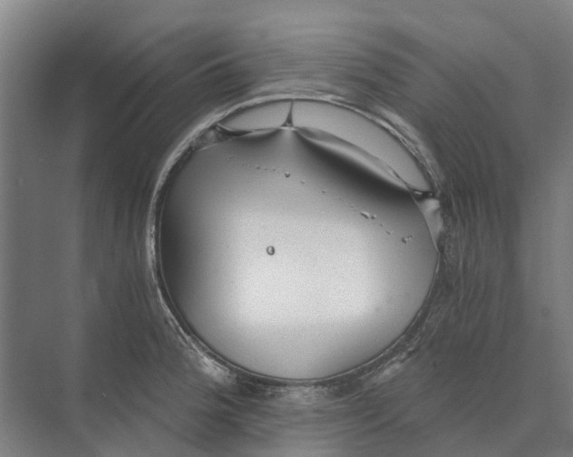 X0000074001188200609181800