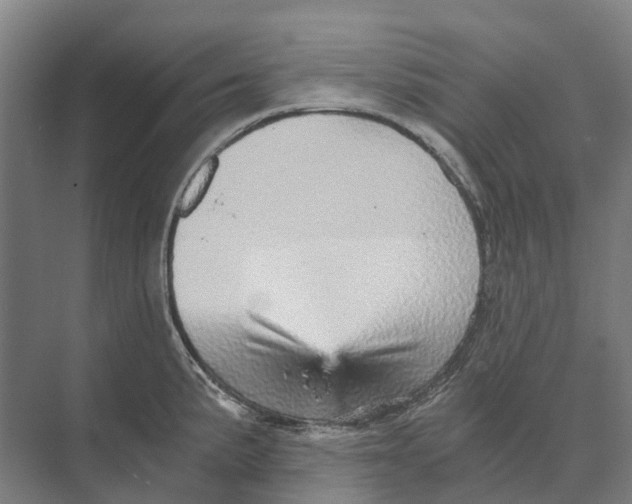 X0000074001191200609181800