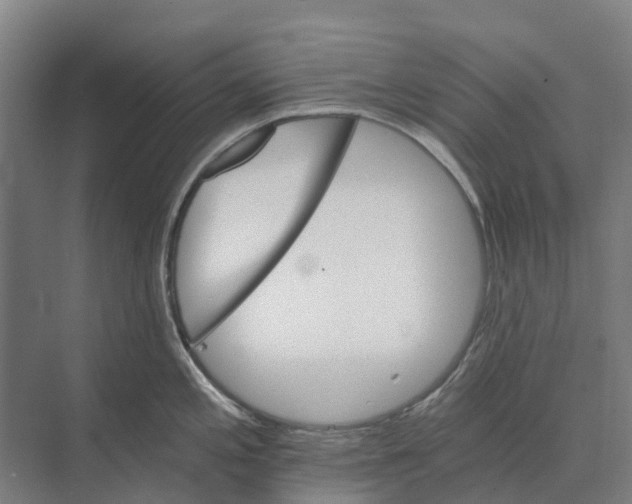 X0000074001197200609181800