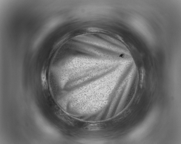 X0000074001198200609181800