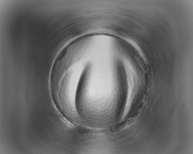 X0000074001199200609181800