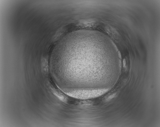 X0000074001203200609181759