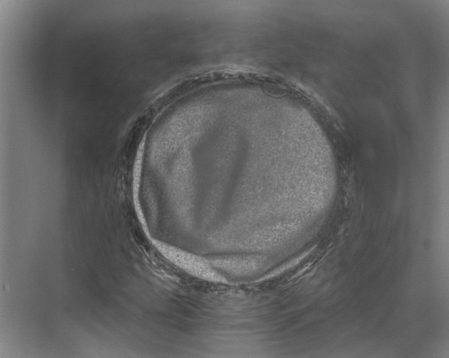 X0000074001207200609181759