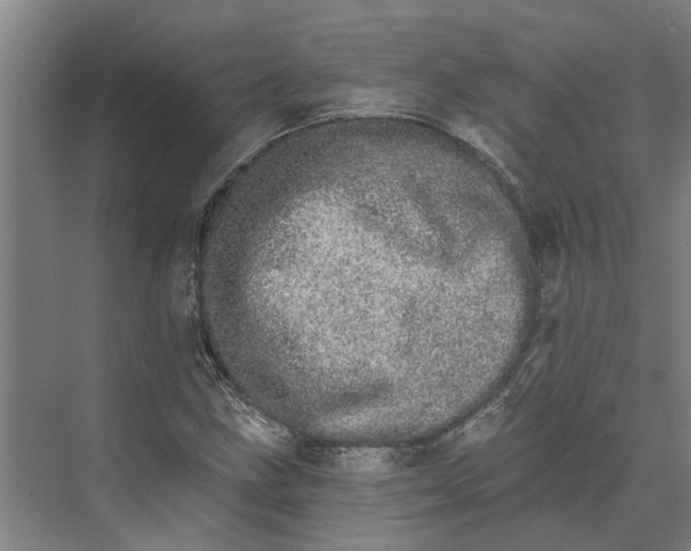 X0000074001211200609181759