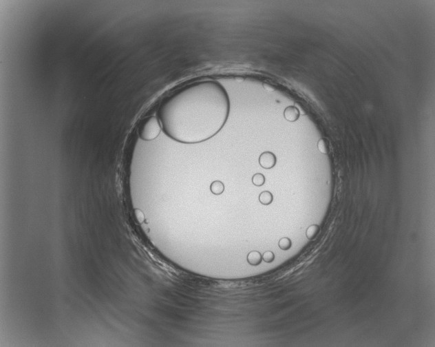 X0000074001212200609181759