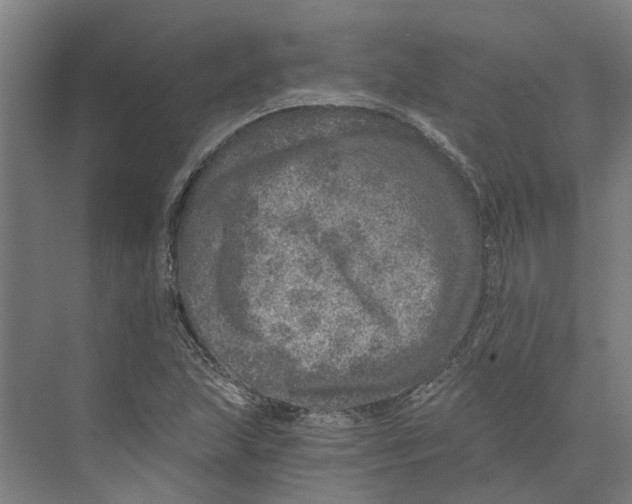 X0000074001215200609181759