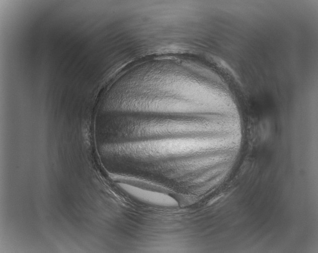 X0000074001217200609181759