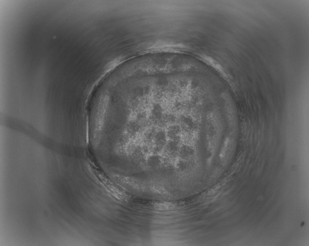 X0000074001219200609181759