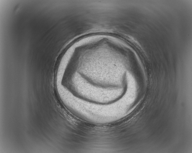 X0000074001220200609181759