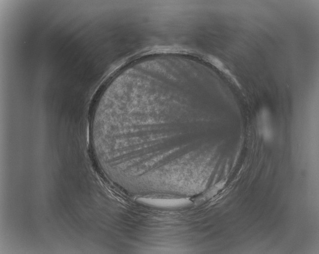 X0000074001221200609181759