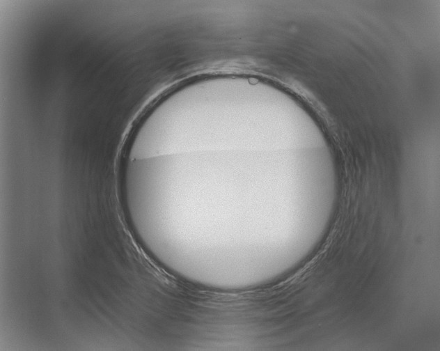 X0000074001224200609181759