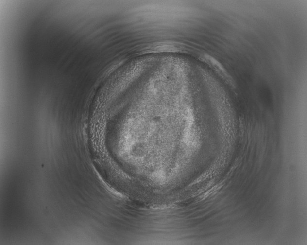 X0000074001225200609181800