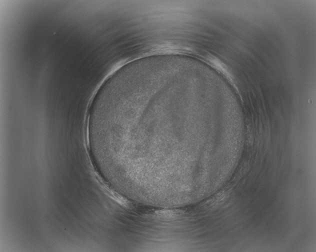 X0000074001227200609181800