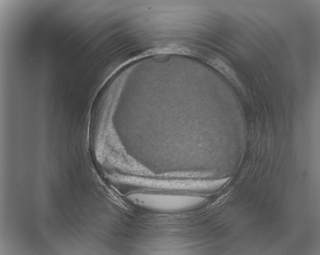 X0000074001228200609181800