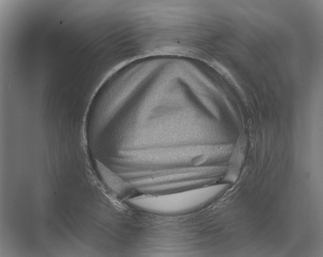 X0000074001230200609181800