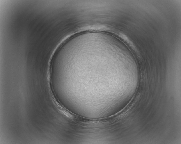 X0000074001232200609181800