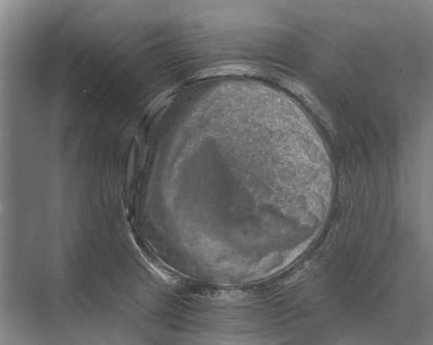 X0000074001233200609181800