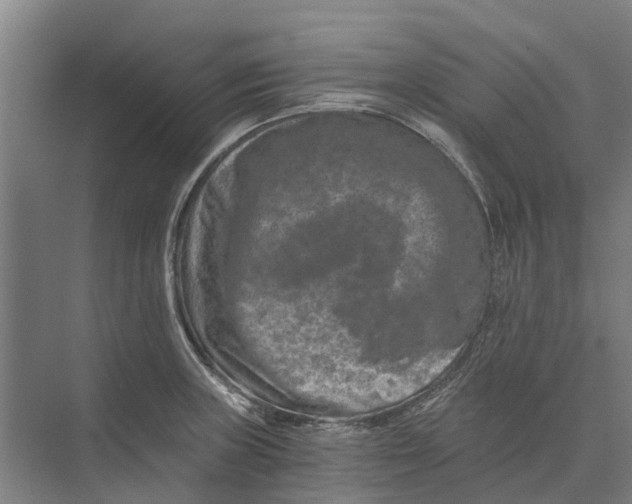 X0000074001235200609181800