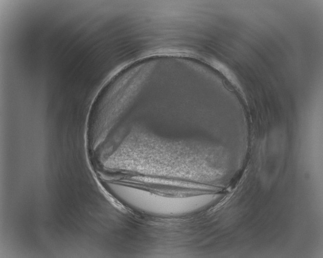 X0000074001237200609181800