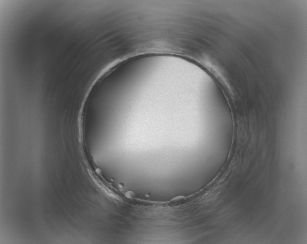 X0000074001238200609181800