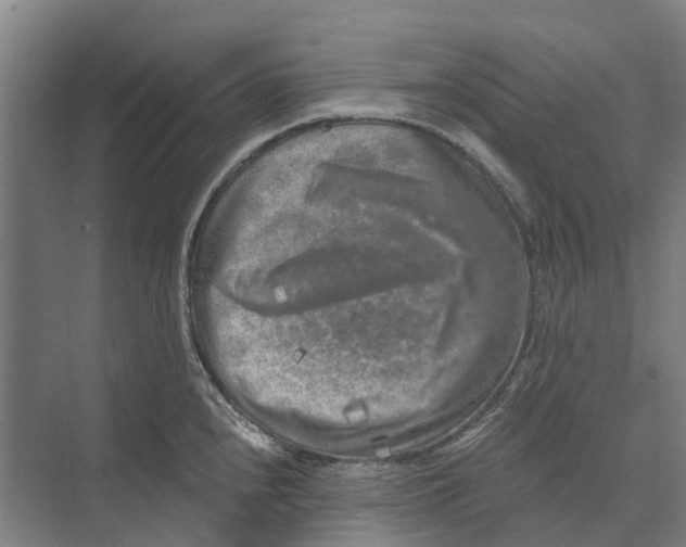 X0000074001240200609181800