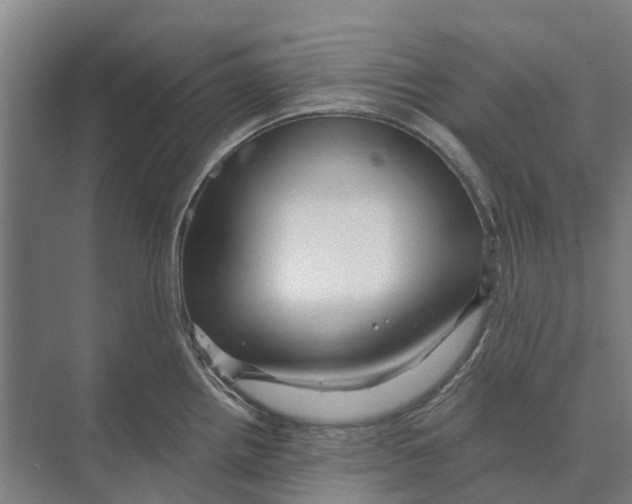 X0000074001242200609181800