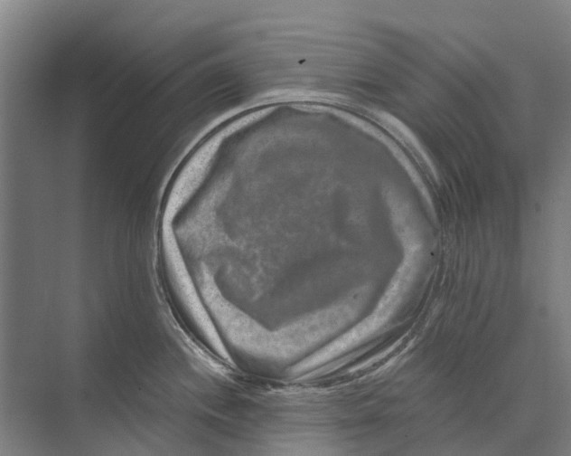 X0000074001244200609181800