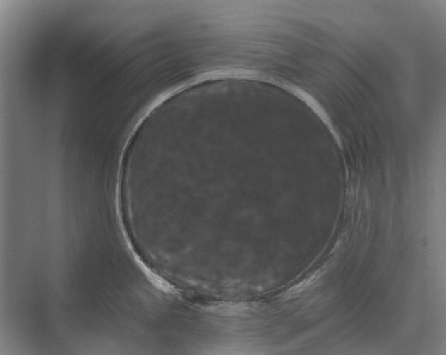 X0000074001245200609181800