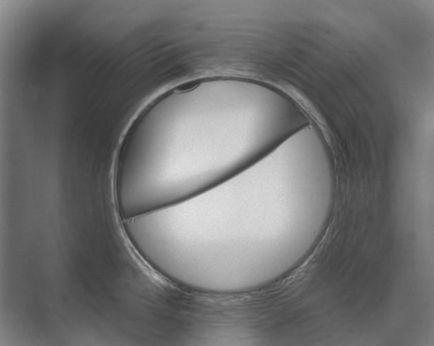 X0000074001246200609181800