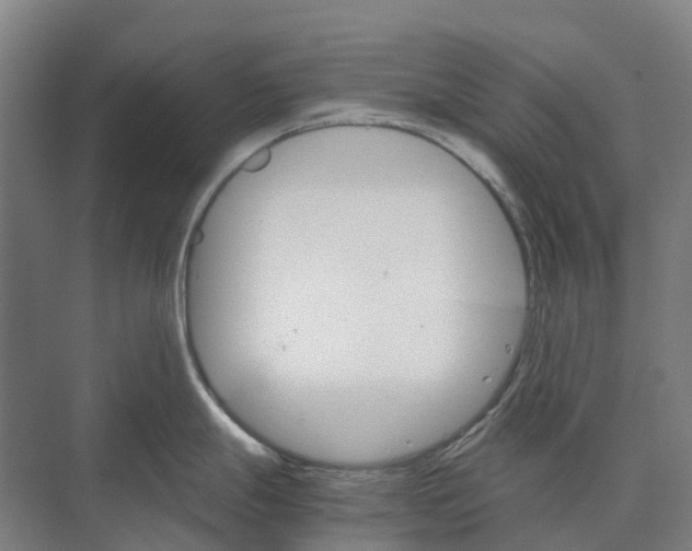 X0000074001247200609181800