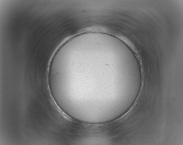 X0000074001248200609181800