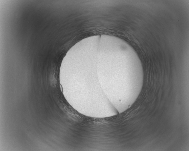 X0000074001250200609181759