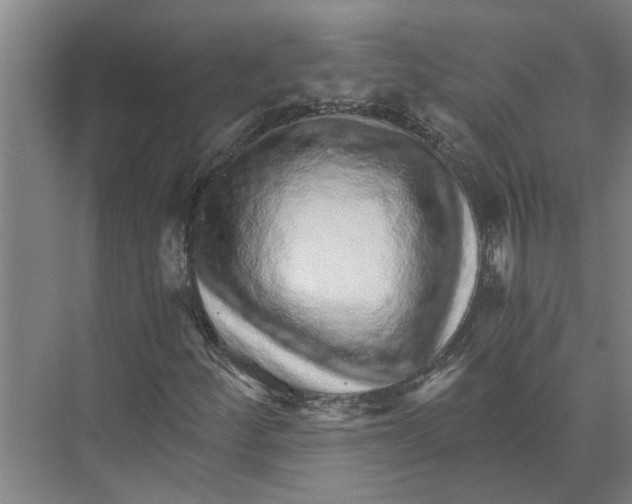 X0000074001252200609181759