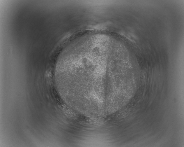 X0000074001254200609181759