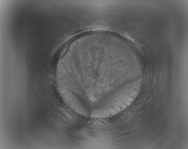 X0000074001255200609181759