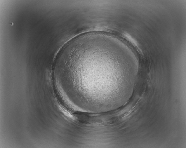 X0000074001260200609181759