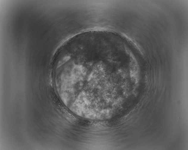 X0000074001262200609181759