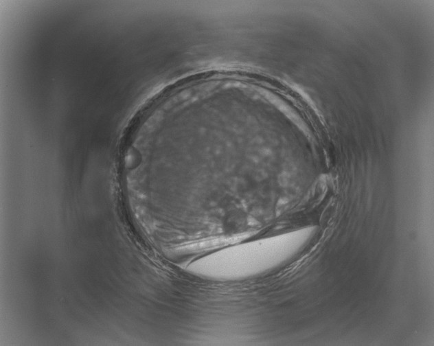 X0000074001263200609181759