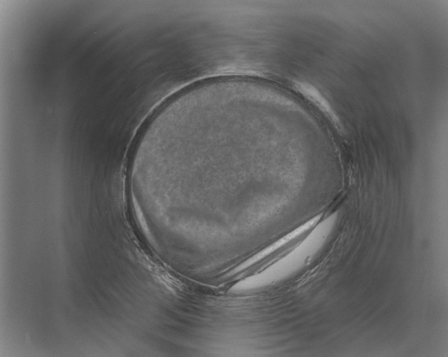 X0000074001268200609181759