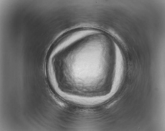 X0000074001272200609181759