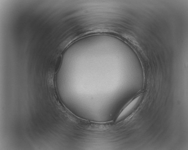 X0000074001273200609181759