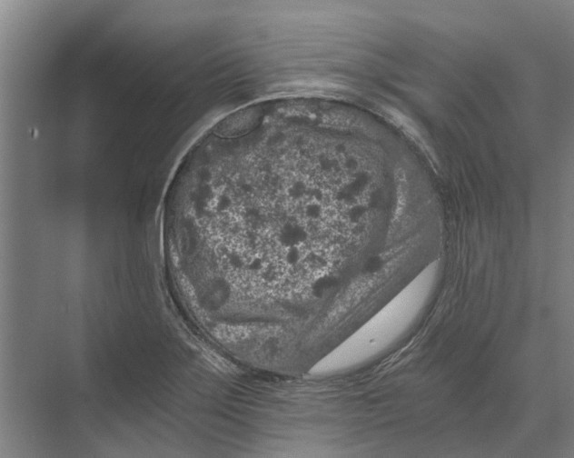 X0000074001275200609181759