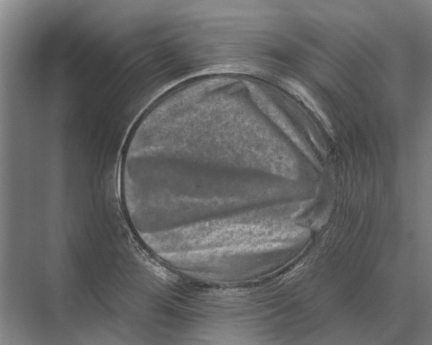 X0000074001276200609181759