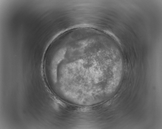 X0000074001278200609181759