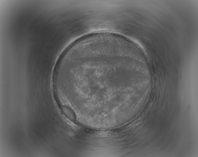 X0000074001279200609181759